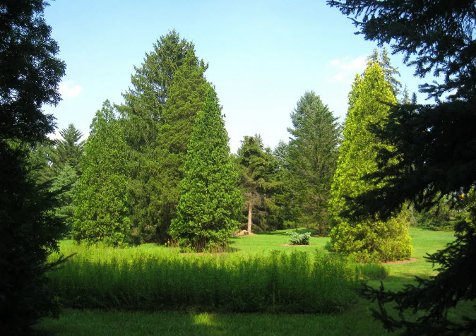 Graver Arboretum of Muhlenberg College, United States
